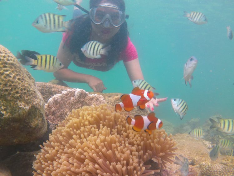 pulau lemukkutan wisata bahari terbaik di kalimantan barat