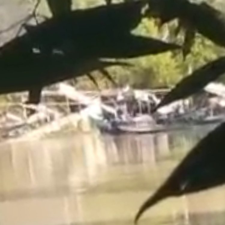 Warga Masyarakat Minta Polda Kalbar Menindak Pelaku Pertambangan Emas Ilegal di Kecamatan Suhaid Kapuas Hulu