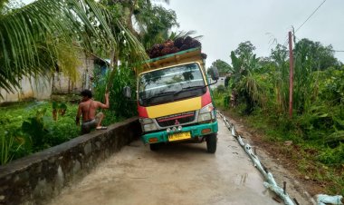 Dump Truk Bermuatan Sawit Diduga Jadi Penyebab Keretakan Proyek Rabat Beton Gang Tongkang Milik Perkim Kalbar