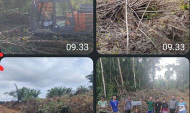 PENGERUSAKAN LAHAN USAHA MASYARAKAT DESA MENSUBANG YANG DIDUGA DILAKUKAN OLEH PT. SANDAI MAKMUR SAWIT