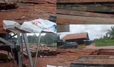 PAK KAPOLRI LAPOR Diduga Keras Penebangan Kayu Non Legal di wilayah Hukum Kabupaten Kapuas Hulu Merugikan Negara