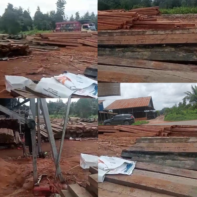 PAK KAPOLRI LAPOR Diduga Keras Penebangan Kayu Non Legal di wilayah Hukum Kabupaten Kapuas Hulu Merugikan Negara