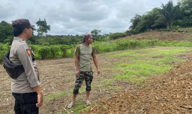 Polsek Meranti Intensifkan Cek Progres Tanamaan Jagung Hibrida