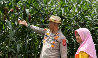 Kapolres Melawi Pimpin Pemupukan Tanaman Jagung