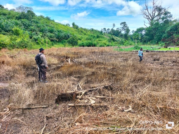 Sukseskan Ketahanan Pangan Polsek Air Besar Lakukan Perluasan Lahan Tanaman Jagung Hibrida