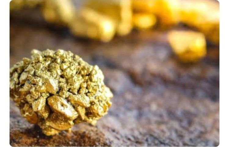 Yanti dan SB: Duo Serigala di Balik Penampungan Emas di Melawi Kalbar