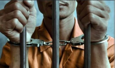 Diduga Sudah Setoran Ke Oknum Polisi Tetapi Kerja Peti Masih Ditindak