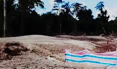 Aktivitas Pertambangan Emas Tanpa Izin (PETI) di Kecamatan Mentebah Desa Tanjung Intan Sungai Sekudum di Duga keterlibatan KADES kepala Desa