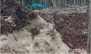 Tambang Ilegal dI Boyan Tanjung Kian Brutal! Bos Besar Berinsial Jpt Diduga “Kebal Hukum”, Alat Berat Beraksi dI Tengah Razia!