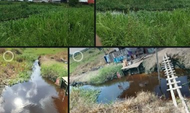 Skandal Limbah Sawit di Jantung Kalimantan Barat: Warga Terpaksa Mandi Air Limbah, Anak-Anak Jadi Tumbal Pembangunan?