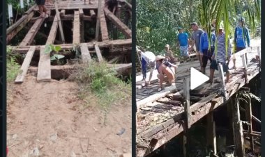 Dinas PUPR Terkesan Tutup Mata Warga Desa Sungai Pukat Secara Swadaya Perbaiki Jembatan Rusak