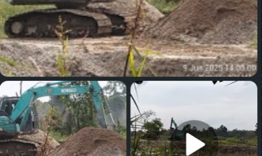 Terbidik Kemera Kuat Dugaan Alat Berat Beroperasi Di Lahan Bekas Tambang Emas Peti 