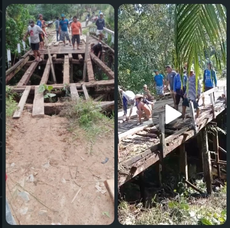Dinas PUPR Terkesan Tutup Mata Warga Desa Sungai Pukat Secara Swadaya Perbaiki Jembatan Rusak