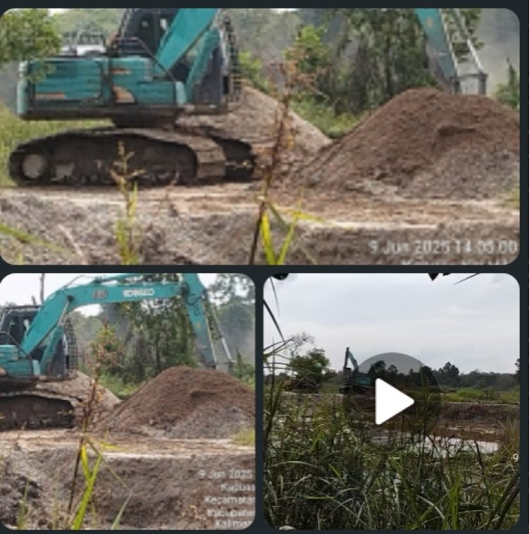 Terbidik Kemera Kuat Dugaan Alat Berat Beroperasi Di Lahan Bekas Tambang Emas Peti 