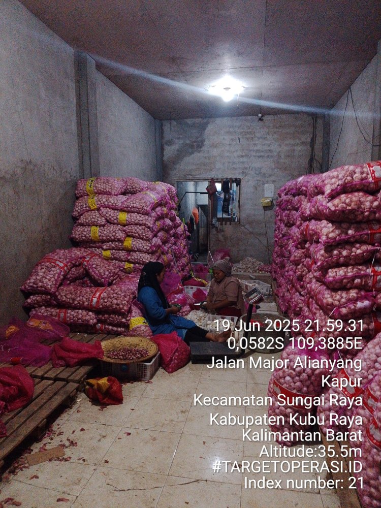 Skandal Bawang Putih Ilegal di Kubu Raya: Ketika Mafia Pangan Tertawa, Hukum Diam Membisu