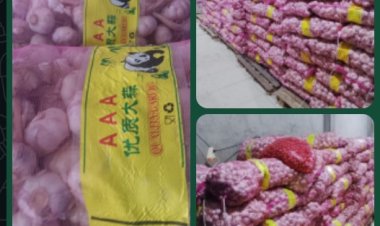 DPC Lembaga Investigasi Negara (LIN) Kubu Raya Soroti Peredaran Bawang Putih Ilegal Merek AAA Cap Panda