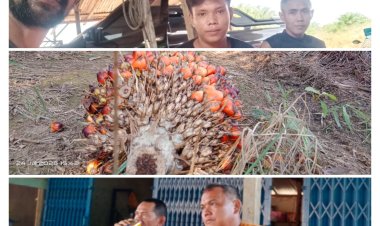 Oknum Humas dan Askep PT CUP " SRY dan RV" Diduga Sebar Informasi Hoaks, LSM PISIDA Akan Kita Mintai Pertanggungjawaban Secara Hukum