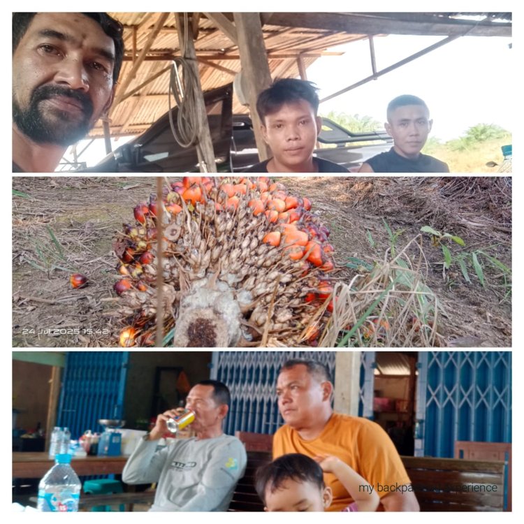 Oknum Humas dan Askep PT CUP " SRY dan RV" Diduga Sebar Informasi Hoaks, LSM PISIDA Akan Kita Mintai Pertanggungjawaban Secara Hukum