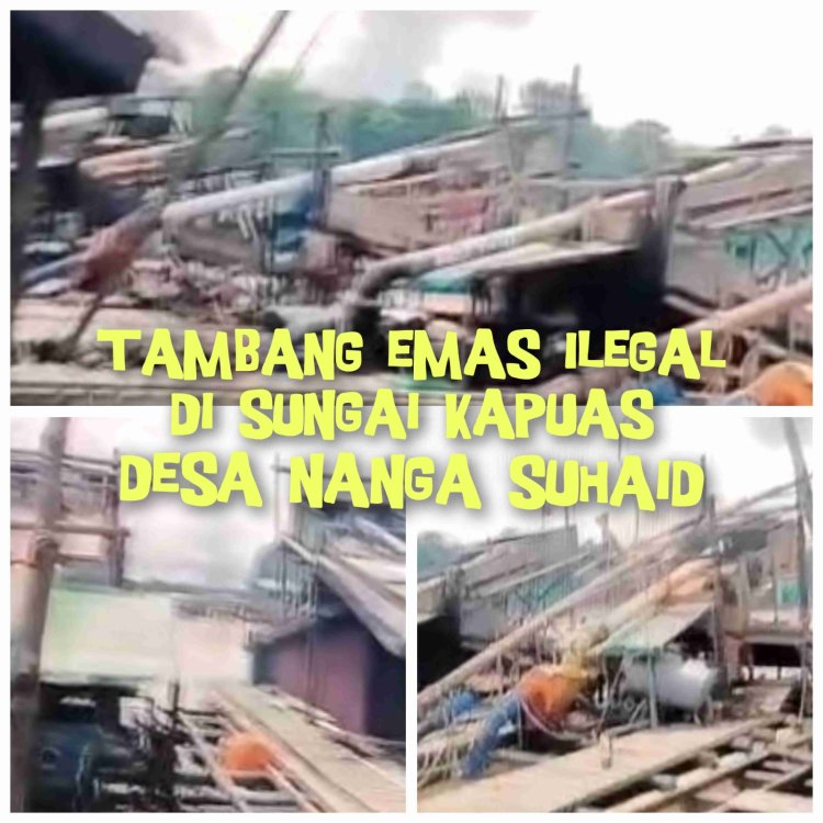 Lapor Pak Kapolda Kalbar, Lanting Jek Penambang Emas Ilegal Tetap Aktif di Sungai Kapuas Wilayah Desa Nanga Suhaid