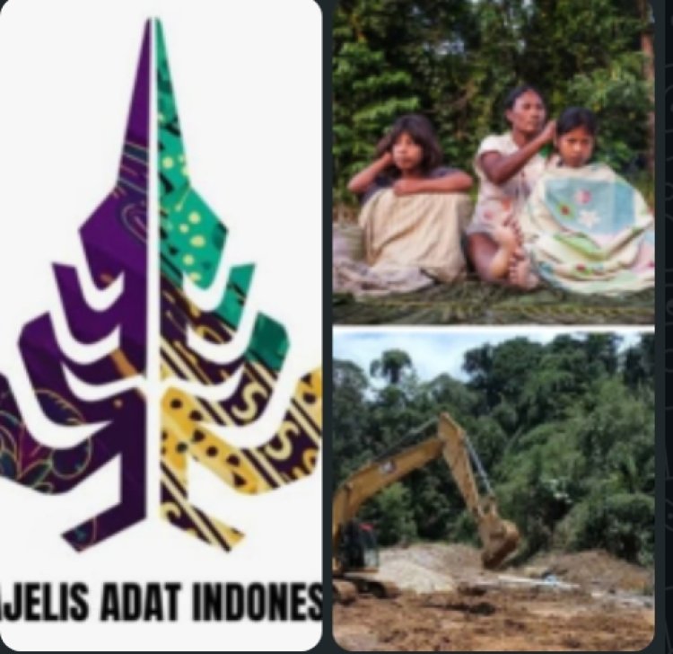 Majelis Adat Indonesia Desak Negara Tegakkan Keadilan: Perusahaan dan Tambang Ilegal Wajib Ganti Kerugian Kerusakan Wilayah Adat di Sumbar, Sumut dan Aceh