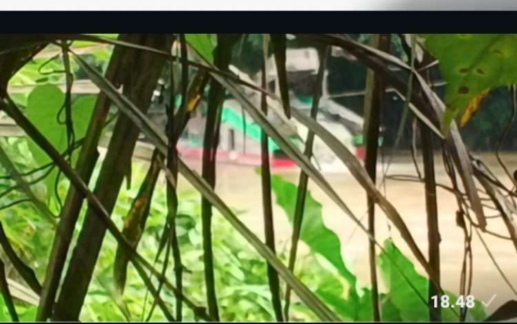 Dugaan Keterlibatan Oknum Polisi dalam Aktivitas PETI di Sekadau Disorot