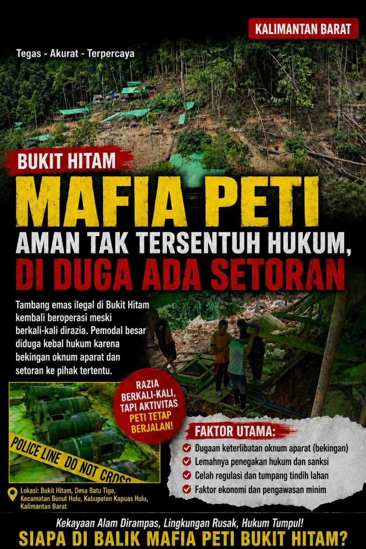 Mafia PETI Bukit Hitam Diduga Dilindungi Oknum, Razia Diduga Hanya Formalitas